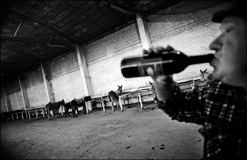 Círio dos Marítimos – fotografia 5 de 10