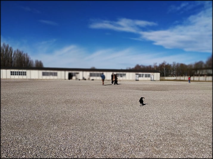 Dachau – fotografia 18 de 26