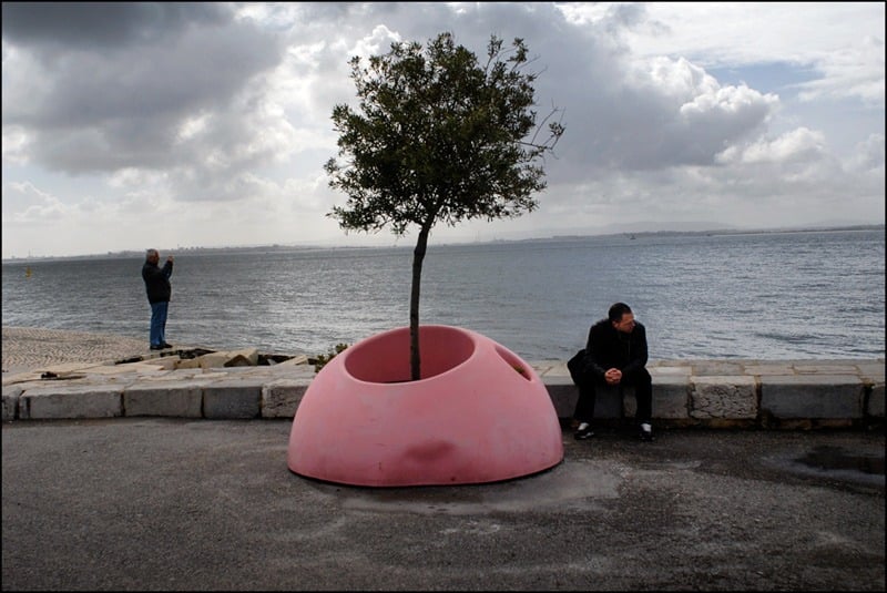 Uma árvore num vaso rosa à beira do rio, com duas pessoas ao fundo